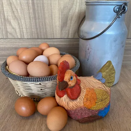 Agri-alloggio Le Poscole Al Canton Bauernhof *