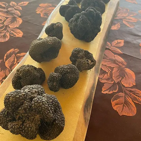 Agri-alloggio Le Poscole Al Canton