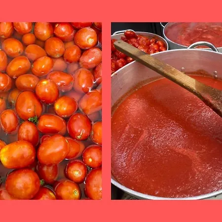 Agri-alloggio Le Poscole Al Canton * Castelgomberto