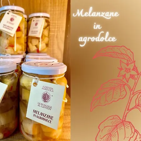 Agri-alloggio Le Poscole Al Canton Castelgomberto