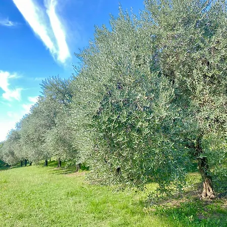 Farm stay Agri-alloggio Le Poscole Al Canton
