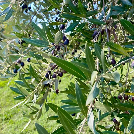 Farm stay Agri-alloggio Le Poscole Al Canton *