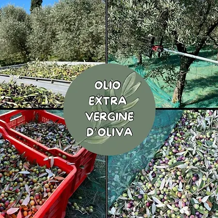 Farm stay Agri-alloggio Le Poscole Al Canton *