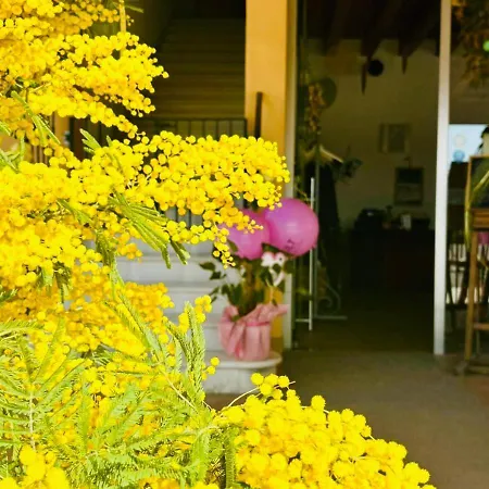 Agri-alloggio Le Poscole Al Canton *
