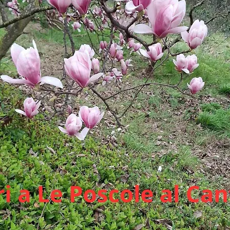 Agri-alloggio Le Poscole Al Canton Bauernhof Castelgomberto
