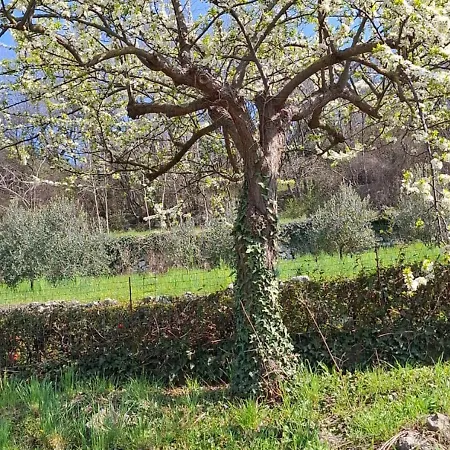 Farm stay Agri-alloggio Le Poscole Al Canton