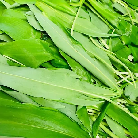 Agri-alloggio Le Poscole Al Canton